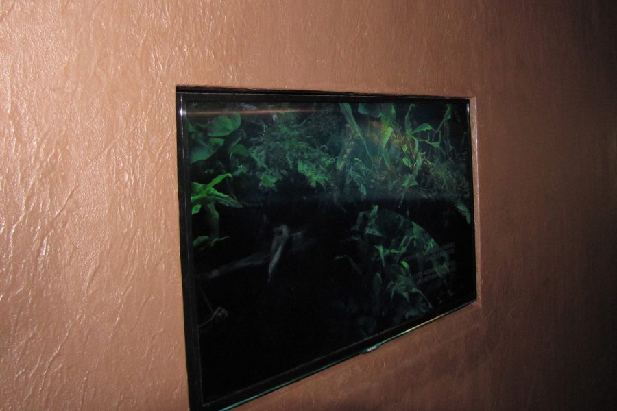 Oceanario_Lisboa(4)